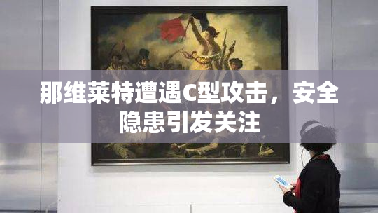 那维莱特遭遇C型攻击，安全隐患引发关注