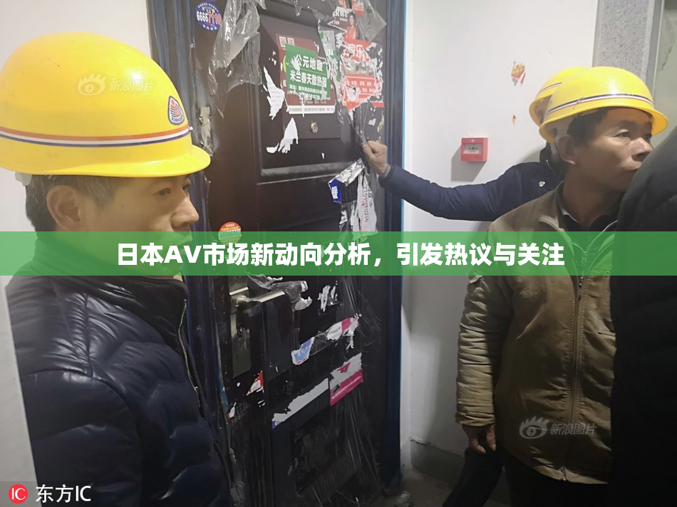 日本AV市场新动向分析，引发热议与关注