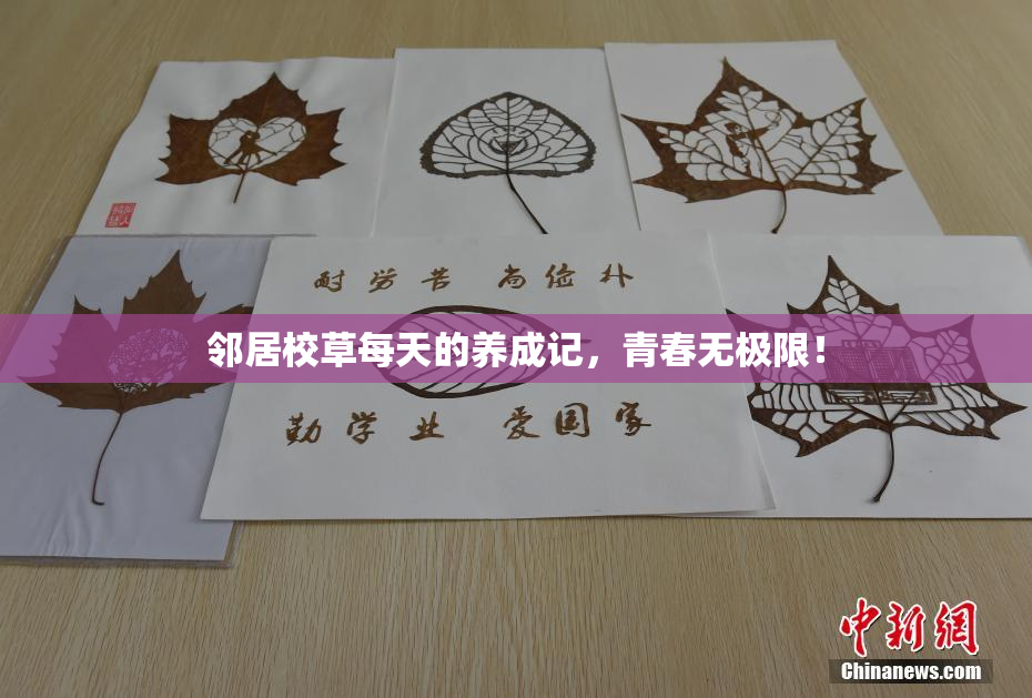 邻居校草每天的养成记，青春无极限！