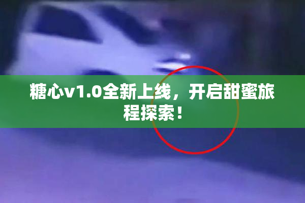 糖心v1.0全新上线，开启甜蜜旅程探索！