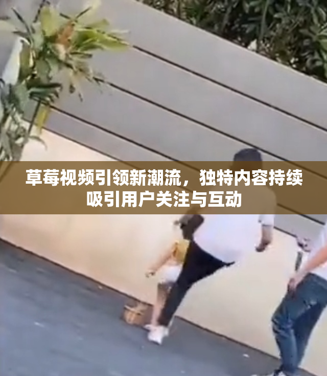 草莓视频引领新潮流，独特内容持续吸引用户关注与互动