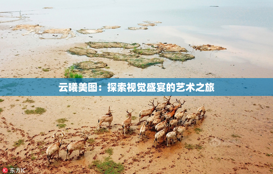 云曦美图：探索视觉盛宴的艺术之旅