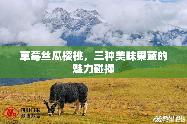 草莓丝瓜樱桃，三种美味果蔬的魅力碰撞