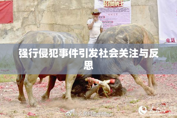 强行侵犯事件引发社会关注与反思