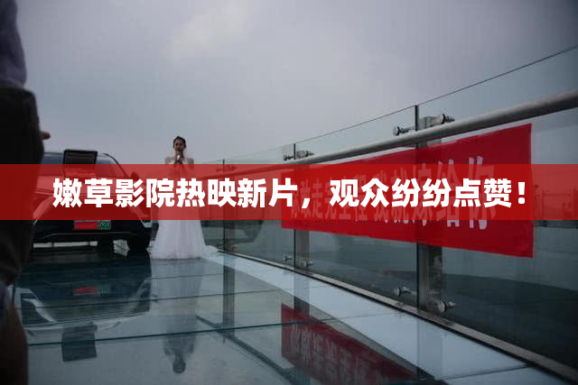 嫩草影院热映新片，观众纷纷点赞！