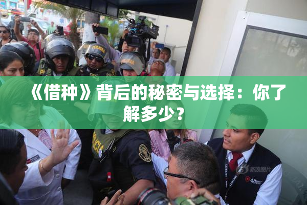 《借种》背后的秘密与选择：你了解多少？