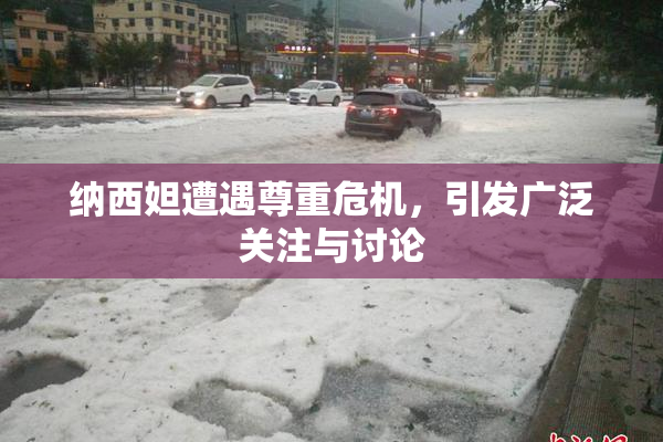 纳西妲遭遇尊重危机，引发广泛关注与讨论
