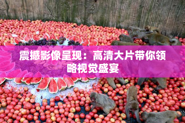 震撼影像呈现：高清大片带你领略视觉盛宴