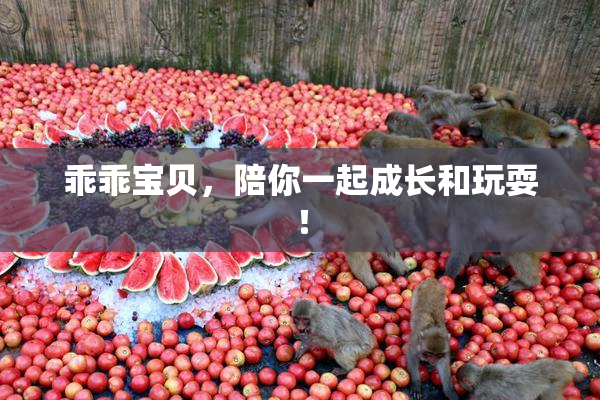 乖乖宝贝，陪你一起成长和玩耍！