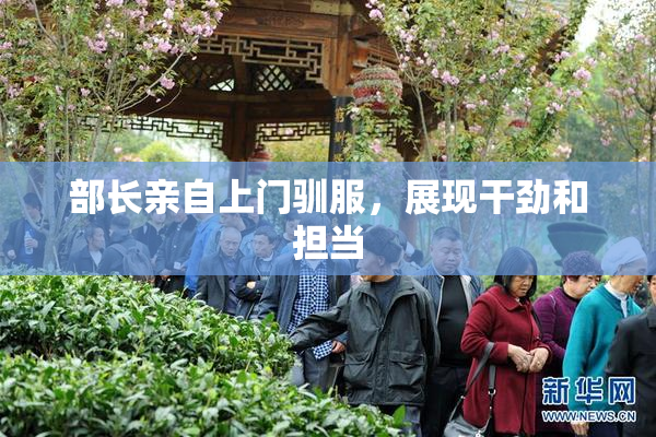 部长亲自上门驯服，展现干劲和担当
