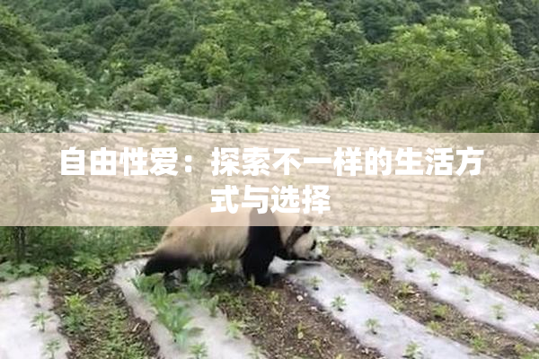 自由性爱：探索不一样的生活方式与选择