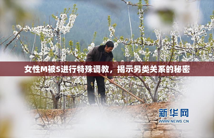 女性M被S进行特殊调教，揭示另类关系的秘密