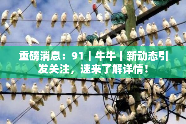 重磅消息：91丨牛牛丨新动态引发关注，速来了解详情！