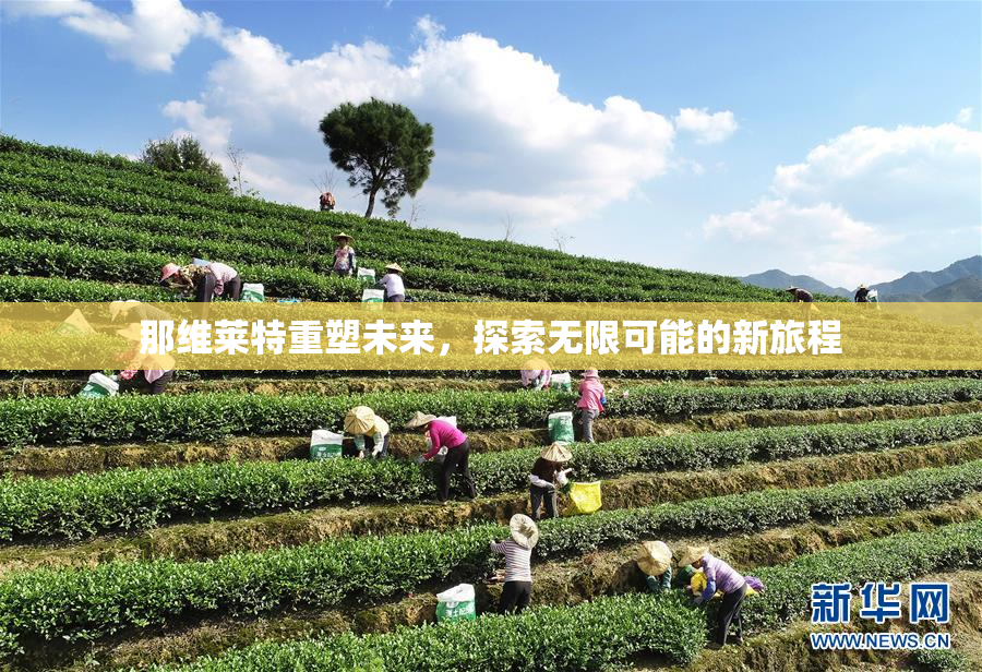 那维莱特重塑未来，探索无限可能的新旅程