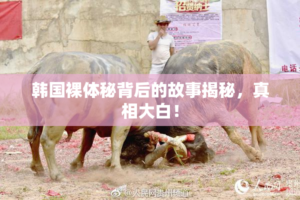 韩国裸体秘背后的故事揭秘，真相大白！