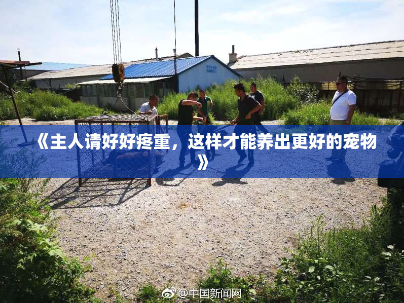 《主人请好好疼重，这样才能养出更好的宠物》