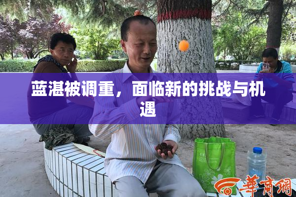 蓝湛被调重，面临新的挑战与机遇
