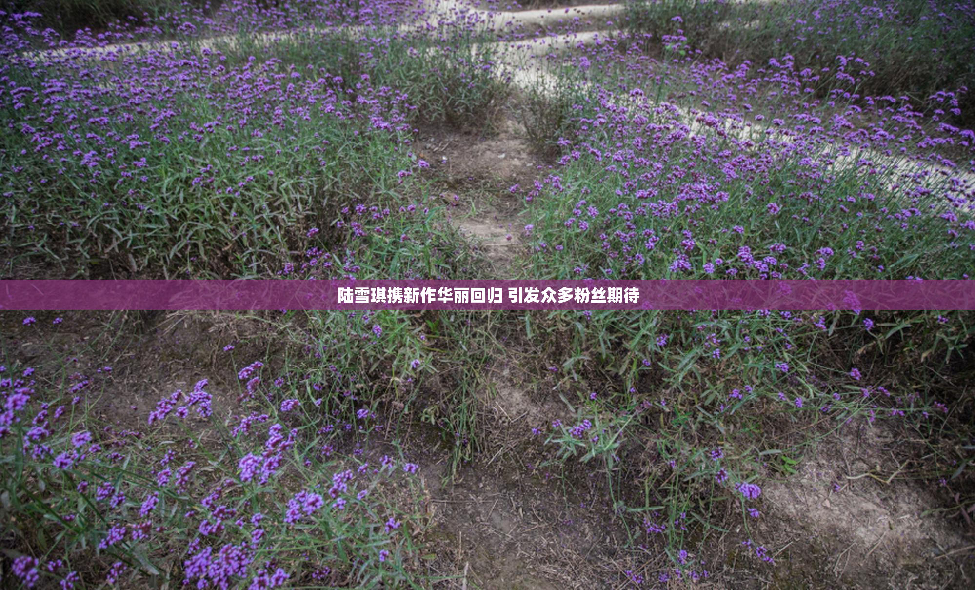陆雪琪携新作华丽回归 引发众多粉丝期待