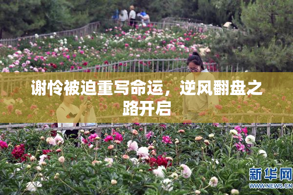 谢怜被迫重写命运，逆风翻盘之路开启