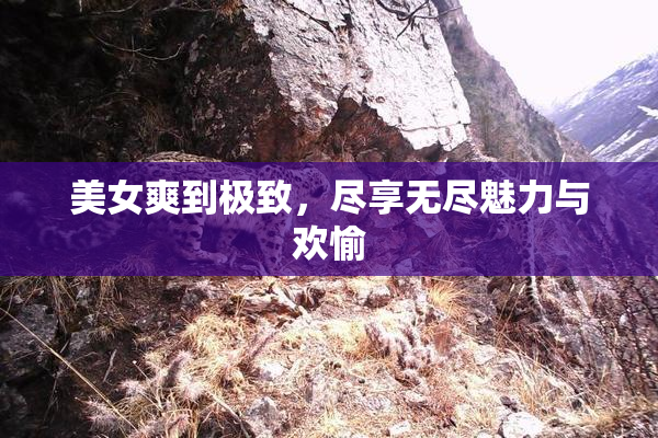 美女爽到极致，尽享无尽魅力与欢愉