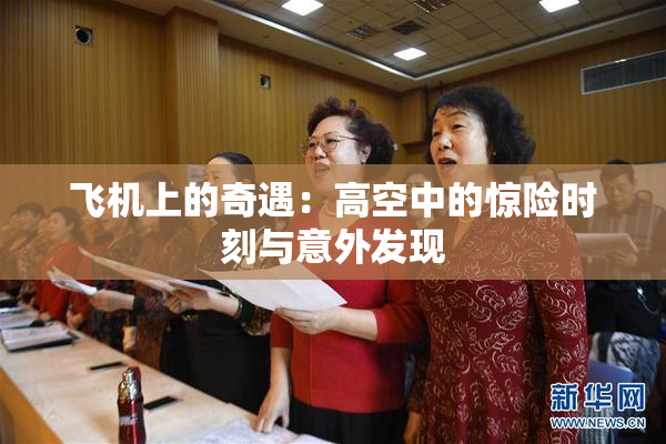 飞机上的奇遇：高空中的惊险时刻与意外发现