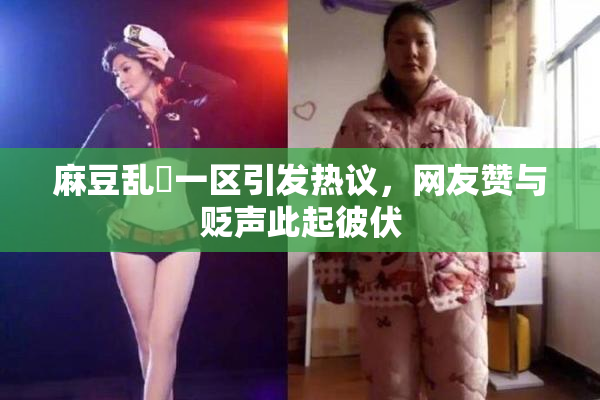 麻豆乱婬一区引发热议，网友赞与贬声此起彼伏