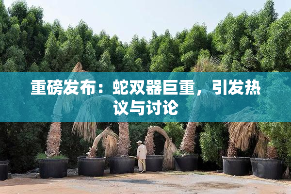 重磅发布：蛇双器巨重，引发热议与讨论