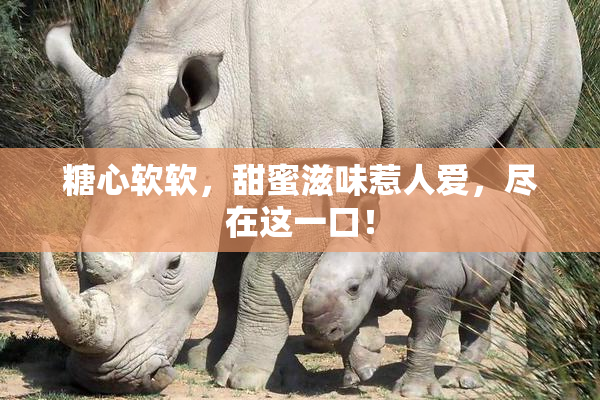 糖心软软，甜蜜滋味惹人爱，尽在这一口！