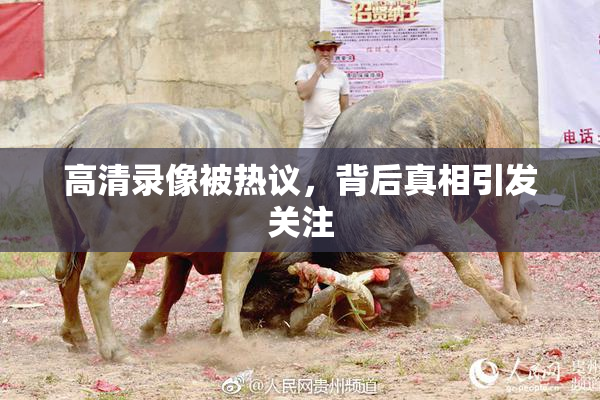 高清录像被热议，背后真相引发关注