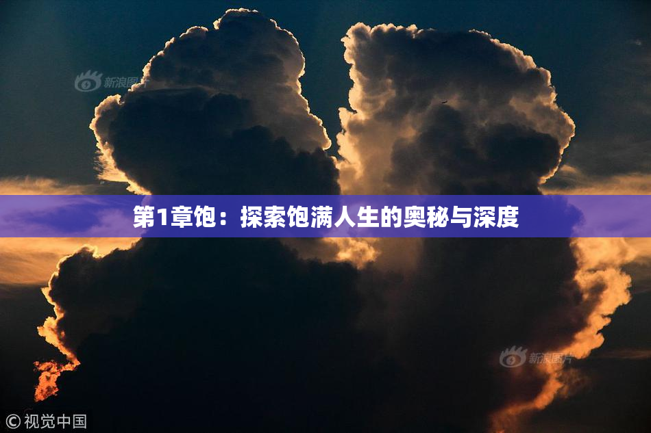 第1章饱：探索饱满人生的奥秘与深度