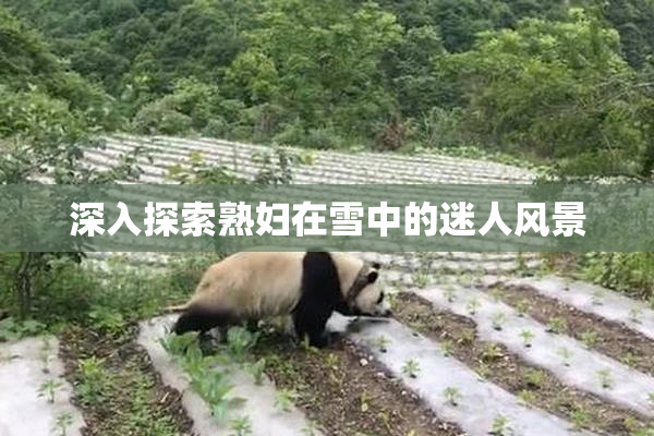 深入探索熟妇在雪中的迷人风景