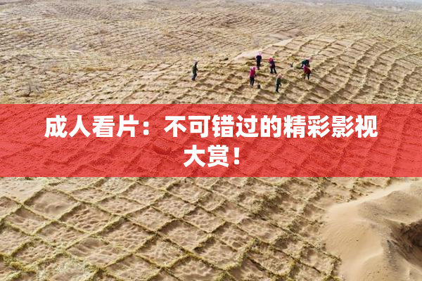 成人看片：不可错过的精彩影视大赏！