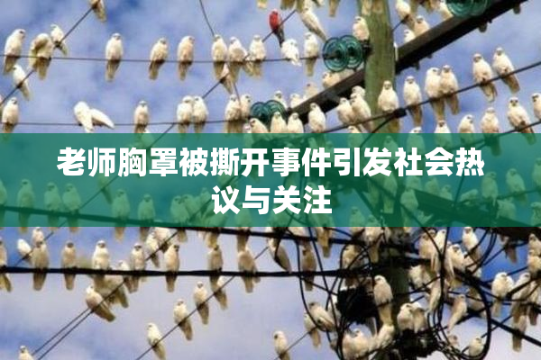 老师胸罩被撕开事件引发社会热议与关注