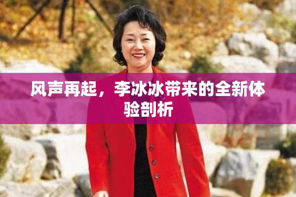 风声再起，李冰冰带来的全新体验剖析