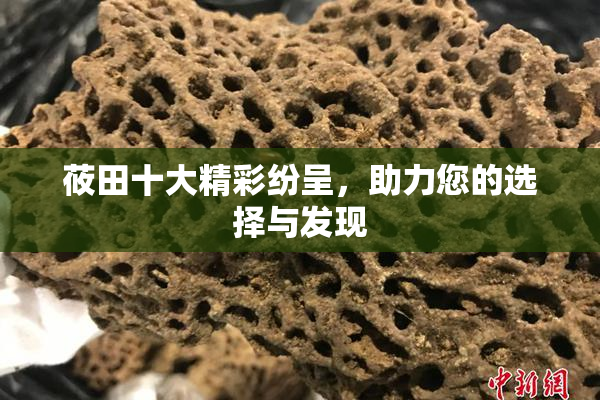 莜田十大精彩纷呈，助力您的选择与发现
