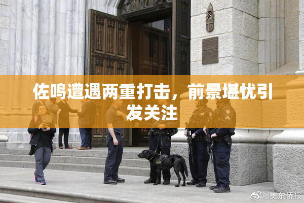 佐鸣遭遇两重打击，前景堪忧引发关注