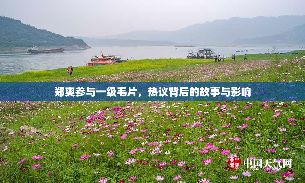 郑爽参与一级毛片，热议背后的故事与影响