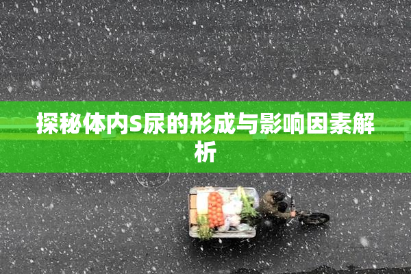 探秘体内S尿的形成与影响因素解析
