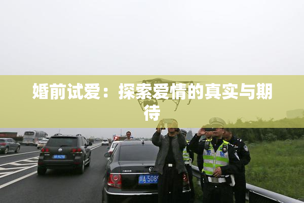 婚前试爱：探索爱情的真实与期待