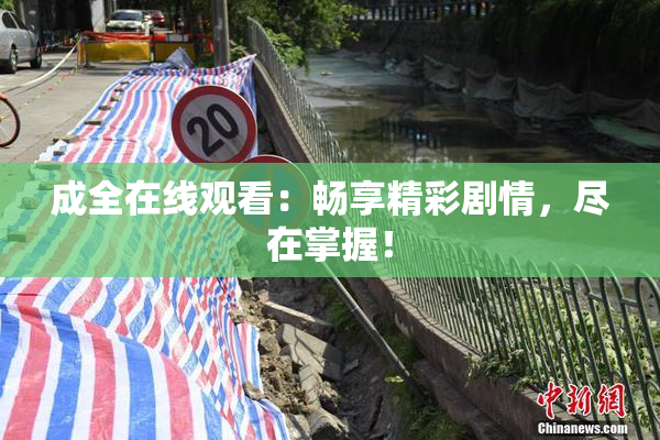 成全在线观看：畅享精彩剧情，尽在掌握！