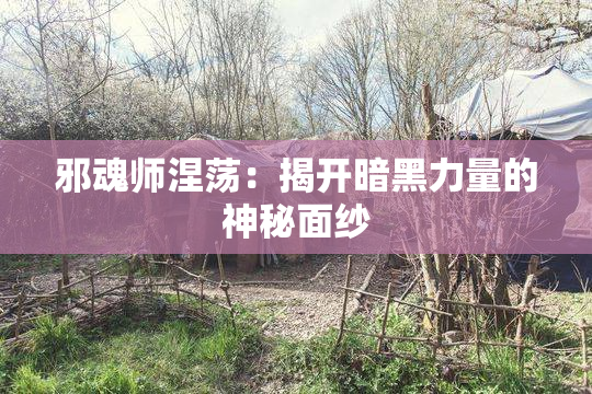 邪魂师涅荡：揭开暗黑力量的神秘面纱