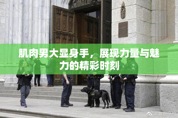 肌肉男大显身手，展现力量与魅力的精彩时刻