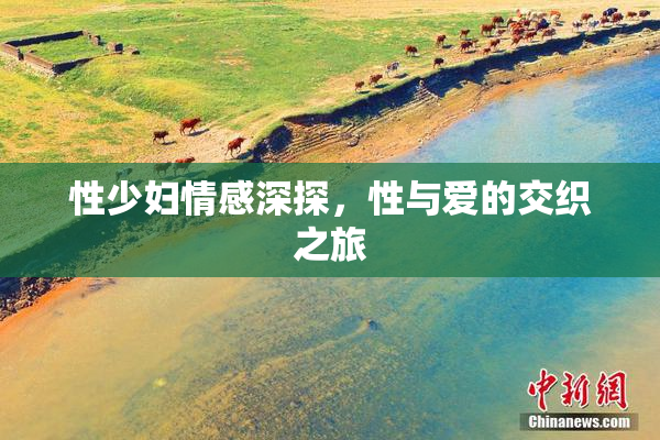 性少妇情感深探，性与爱的交织之旅