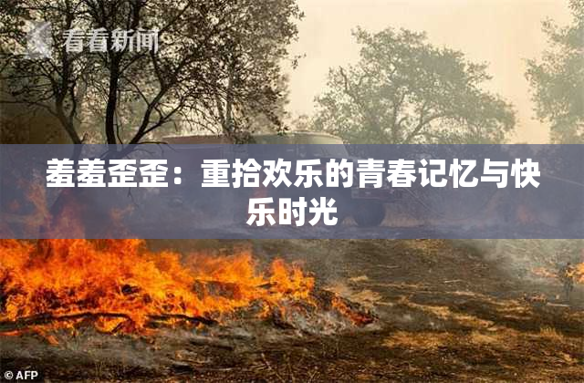 羞羞歪歪：重拾欢乐的青春记忆与快乐时光