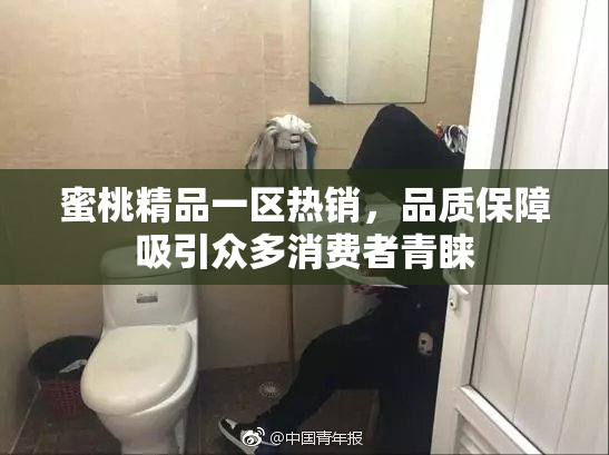 蜜桃精品一区热销，品质保障吸引众多消费者青睐