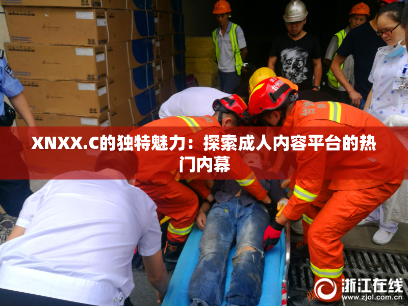 XNXX.C的独特魅力：探索成人内容平台的热门内幕