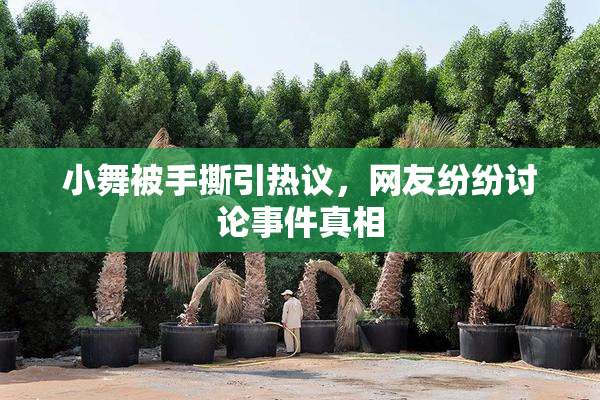 小舞被手撕引热议，网友纷纷讨论事件真相