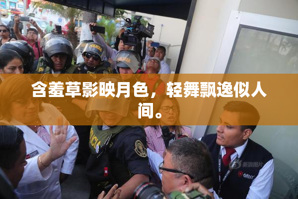 含羞草影映月色，轻舞飘逸似人间。