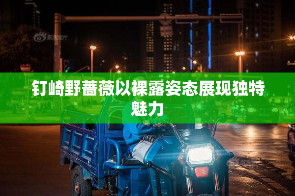 钉崎野蔷薇以裸露姿态展现独特魅力