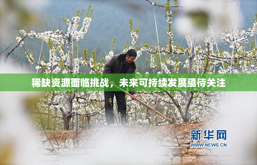 稀缺资源面临挑战，未来可持续发展亟待关注